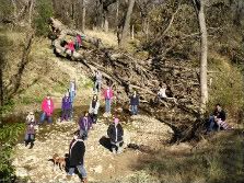 fall in Love with Mu Phi